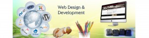 website-development