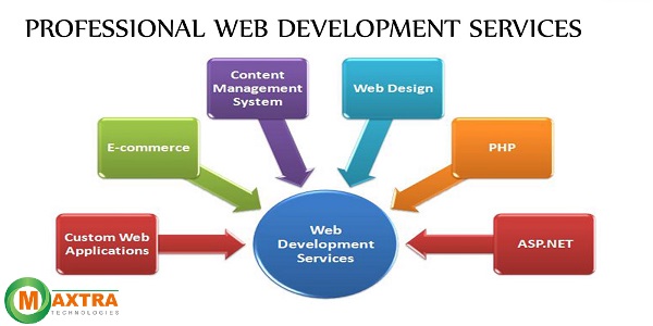 Professional web development services