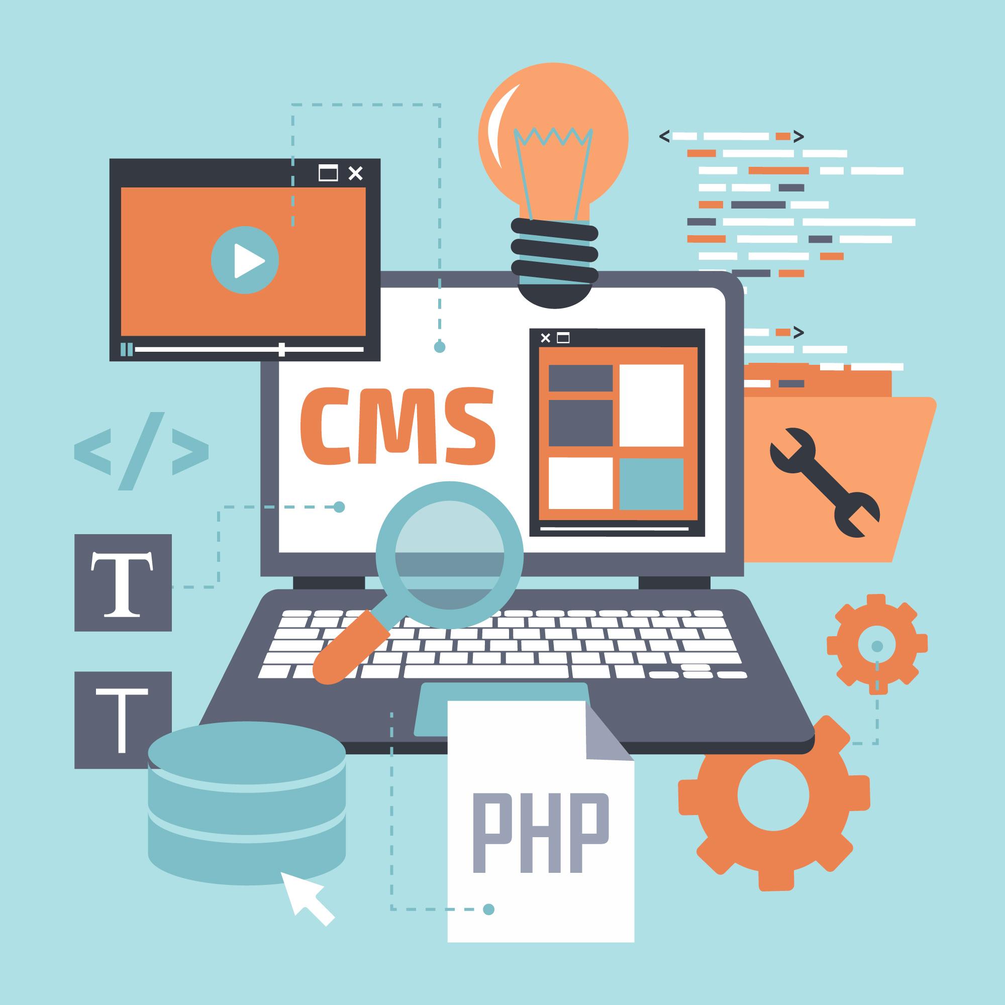 CMS and E-commerce Solutions
