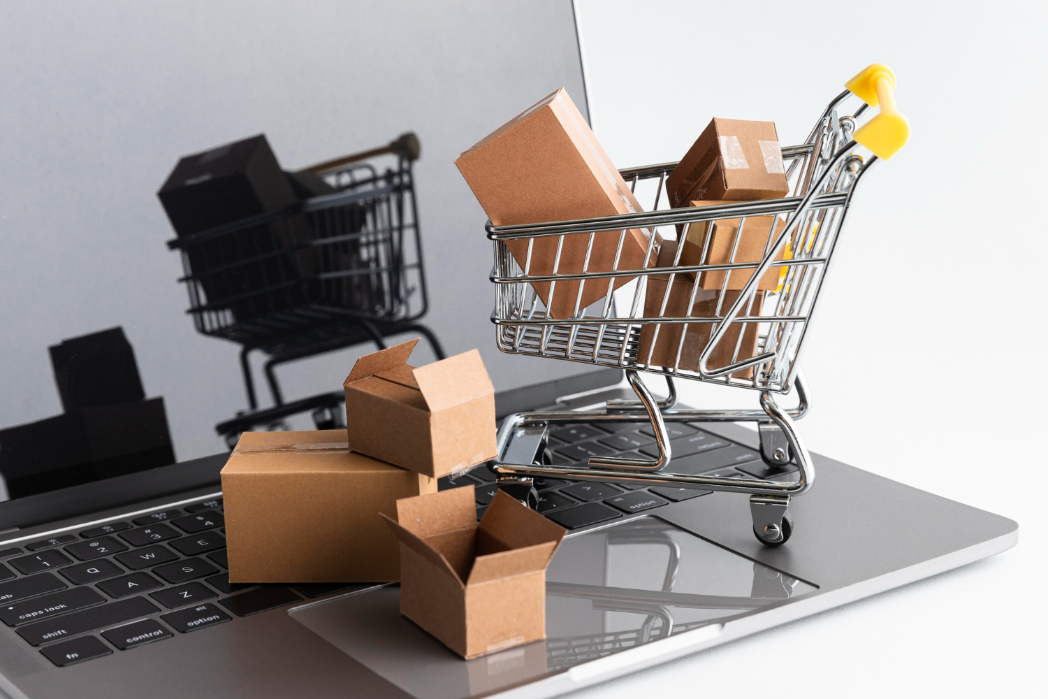 Laravel eCommerce Development Services